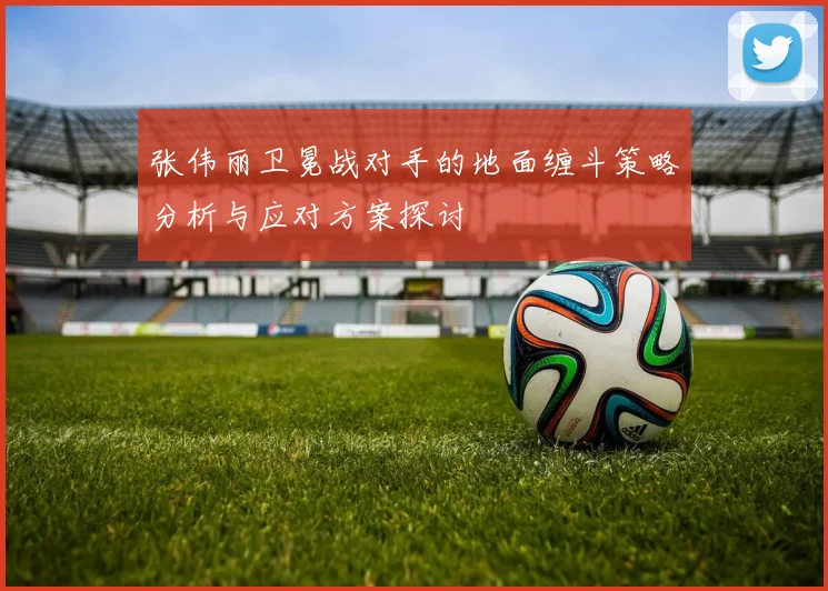 张伟丽卫冕战对手的地面缠斗策略分析与应对方案探讨