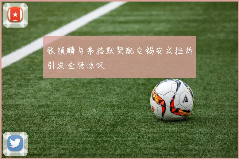 张镇麟与弗格默契配合锡安式挡拆引发全场惊叹