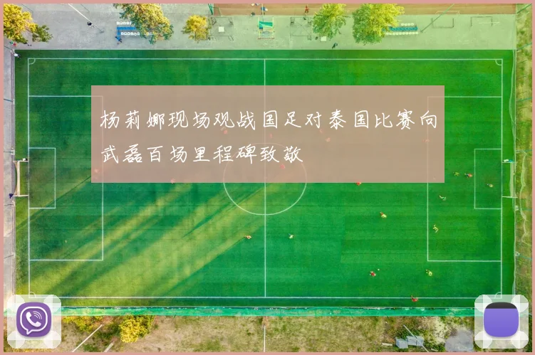 杨莉娜现场观战国足对泰国比赛向武磊百场里程碑致敬